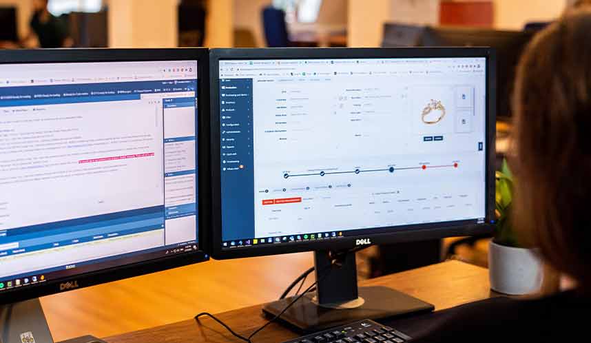 Clean jewelry software interface on monitors